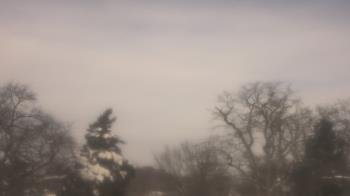 Weather camera view of Saint Peter School.