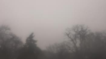 Weather camera view of Saint Peter School.