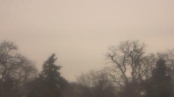 Weather camera view of Saint Peter School.