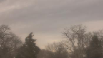 Weather camera view of Saint Peter School.