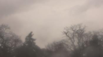 Weather camera view of Saint Peter School.