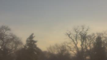 Weather camera view of Saint Peter School.