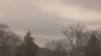 Weather camera view of Saint Peter School.