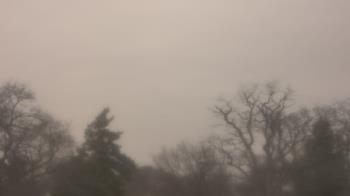 Weather camera view of Saint Peter School.