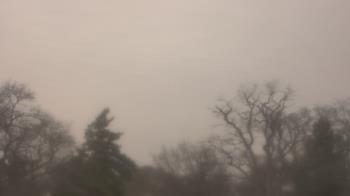Weather camera view of Saint Peter School.