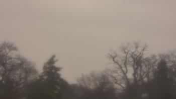 Weather camera view of Saint Peter School.