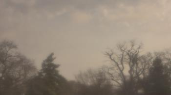 Weather camera view of Saint Peter School.