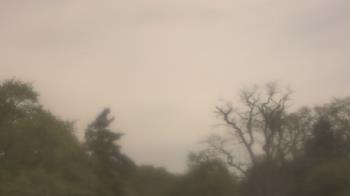 Weather camera view of Saint Peter School.