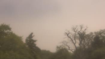 Weather camera view of Saint Peter School.