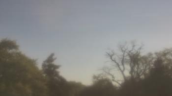 Weather camera view of Saint Peter School.