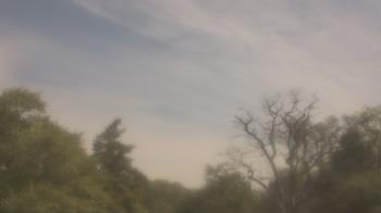 Weather camera view of Saint Peter School.