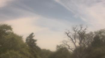 Weather camera view of Saint Peter School.
