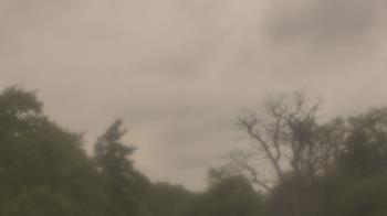 Weather camera view of Saint Peter School.