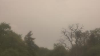 Weather camera view of Saint Peter School.