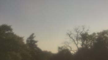 Weather camera view of Saint Peter School.