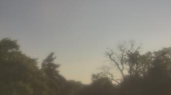 Weather camera view of Saint Peter School.