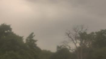 Weather camera view of Saint Peter School.