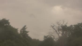 Weather camera view of Saint Peter School.