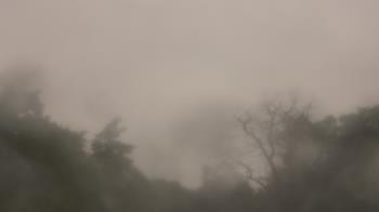 Weather camera view of Saint Peter School.