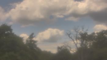 Weather camera view of Saint Peter School.