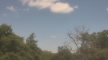 Weather camera view of Saint Peter School.