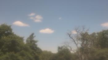Weather camera view of Saint Peter School.