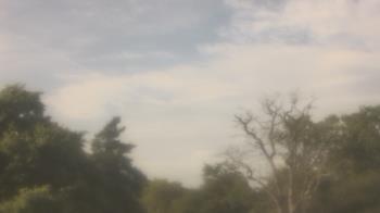 Weather camera view of Saint Peter School.