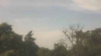 Weather camera view of Saint Peter School.