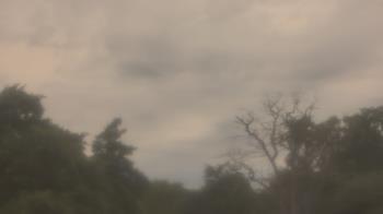 Weather camera view of Saint Peter School.