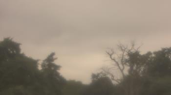 Weather camera view of Saint Peter School.