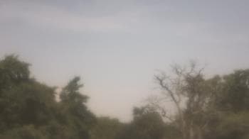 Weather camera view of Saint Peter School.