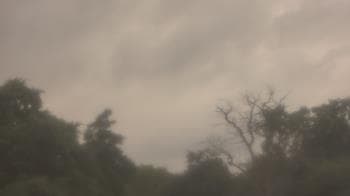 Weather camera view of Saint Peter School.