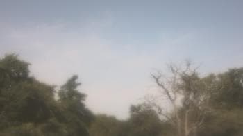 Weather camera view of Saint Peter School.