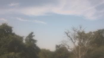 Weather camera view of Saint Peter School.