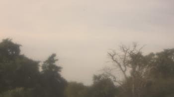 Weather camera view of Saint Peter School.