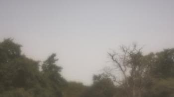 Weather camera view of Saint Peter School.