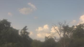 Weather camera view of Saint Peter School.