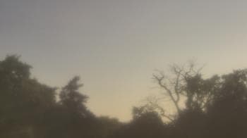 Weather camera view of Saint Peter School.