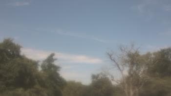 Weather camera view of Saint Peter School.