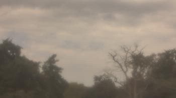 Weather camera view of Saint Peter School.