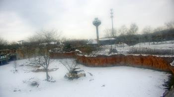 Weather camera view of Columbus Zoo and Aquarium.