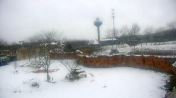 Weather camera view of Columbus Zoo and Aquarium.