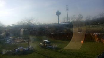 Weather camera view of Columbus Zoo and Aquarium.