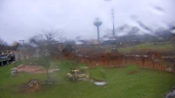 Weather camera view of Columbus Zoo and Aquarium.