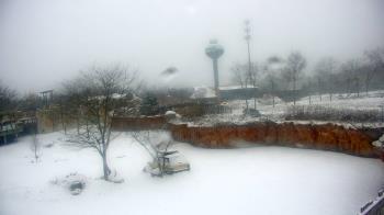 Weather camera view of Columbus Zoo and Aquarium.