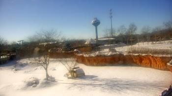 Weather camera view of Columbus Zoo and Aquarium.