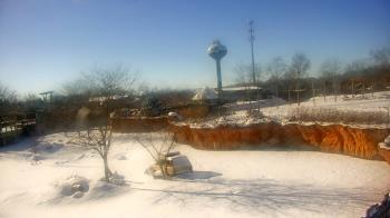 Weather camera view of Columbus Zoo and Aquarium.