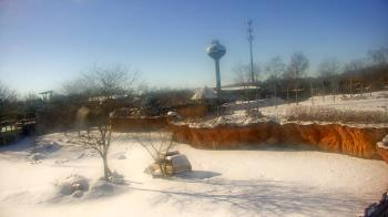 Weather camera view of Columbus Zoo and Aquarium.