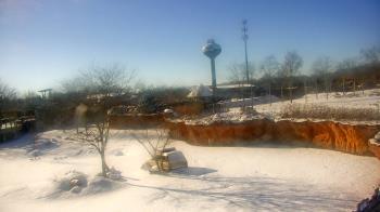 Weather camera view of Columbus Zoo and Aquarium.