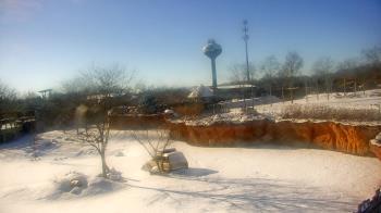 Weather camera view of Columbus Zoo and Aquarium.